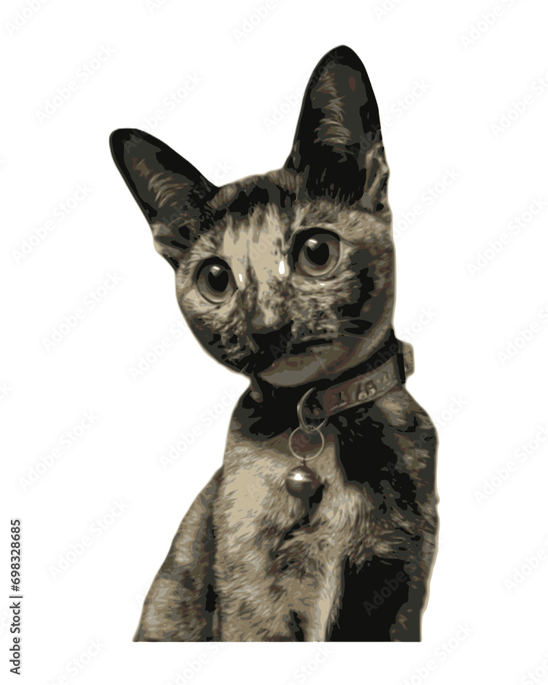 Vector illustration of a cat's face with a loving, affectionate face. transparent background Vector illustration of a cat's face with a loving, affectionate face. transparent background