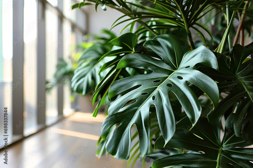 Monstera palm tree with big green leaves next to white wall with natural shadows. AI Generated Monstera palm tree with big green leaves next to white wall with natural shadows. AI Generated