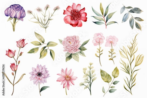 Watercolor paintings various types of Asian flowers on a white paper background. © Old Man Stocker