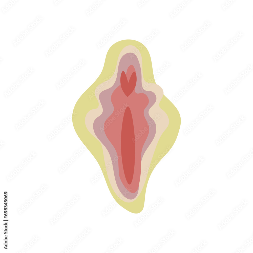 Female vulva on white background Female vulva on white background