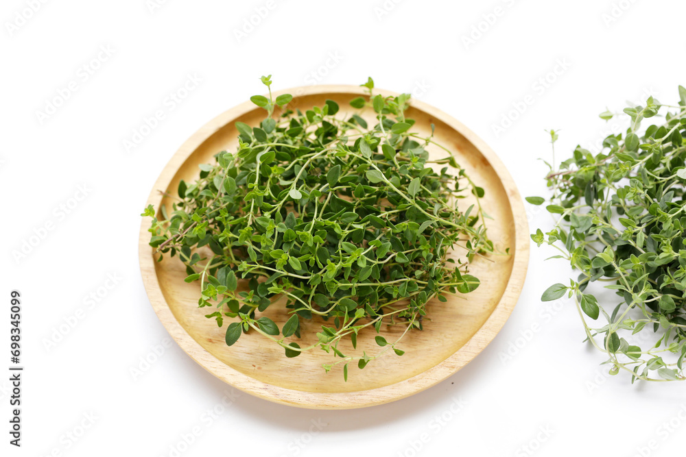 Fresh lemon thyme on white background. Fresh lemon thyme on white background.
