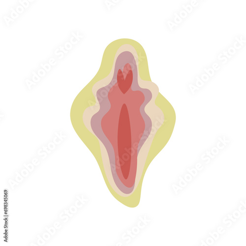 Female vulva on white background
