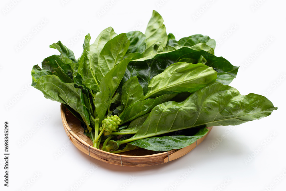 Noni or Morinda Citrifolia leaves on white background. Noni or Morinda Citrifolia leaves on white background.