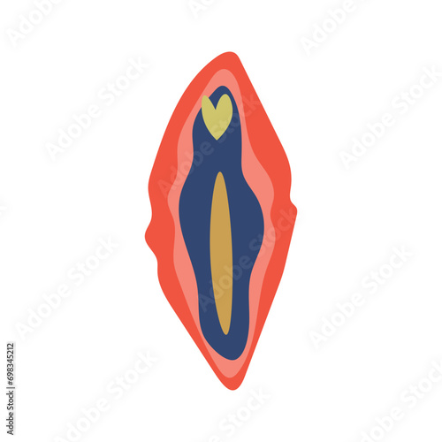 Female vulva on white background