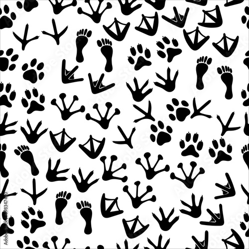 Seamless pattern with footprints of animals on white background. animal footprints. Paw seamless pattern. Cute background for pets dog or cat photo