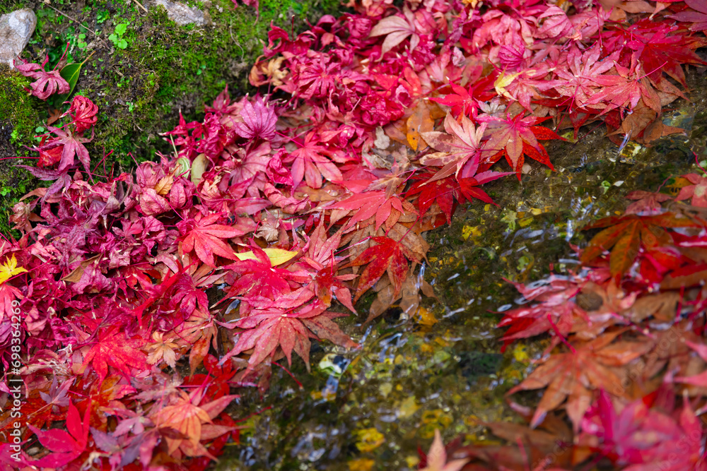 Piled up red leaves in the narrow gutter in autumn close up Piled up red leaves in the narrow gutter in autumn close up