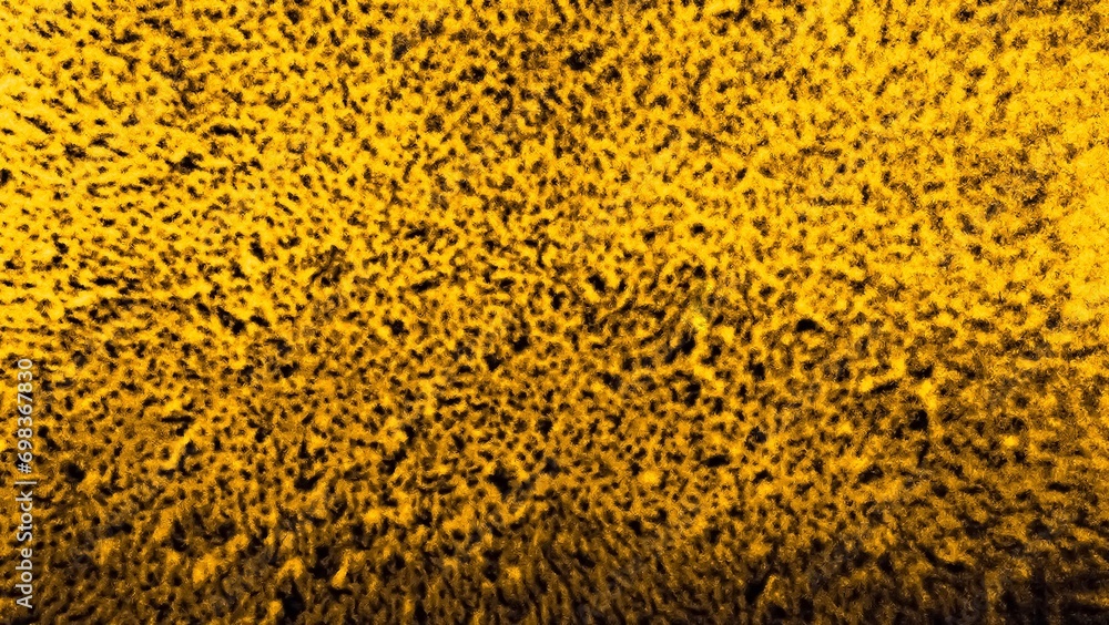 seed background seed background