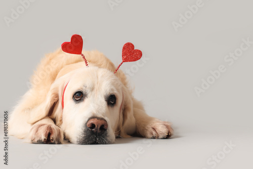 Adorable golden retriever in headband with hearts on grey background photo