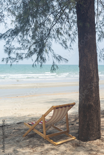 Beach chairs on the seaside under pine trees photo