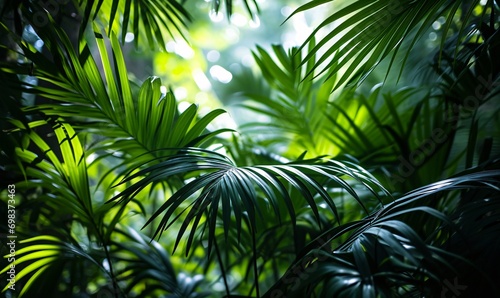 A lush green forest with palm trees and sunlight filtering through the leaves