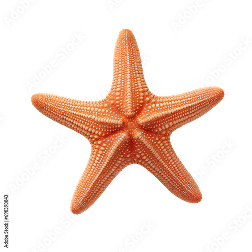 Starfish or sea star, isolated on transparent background, PNG, 300 DPI