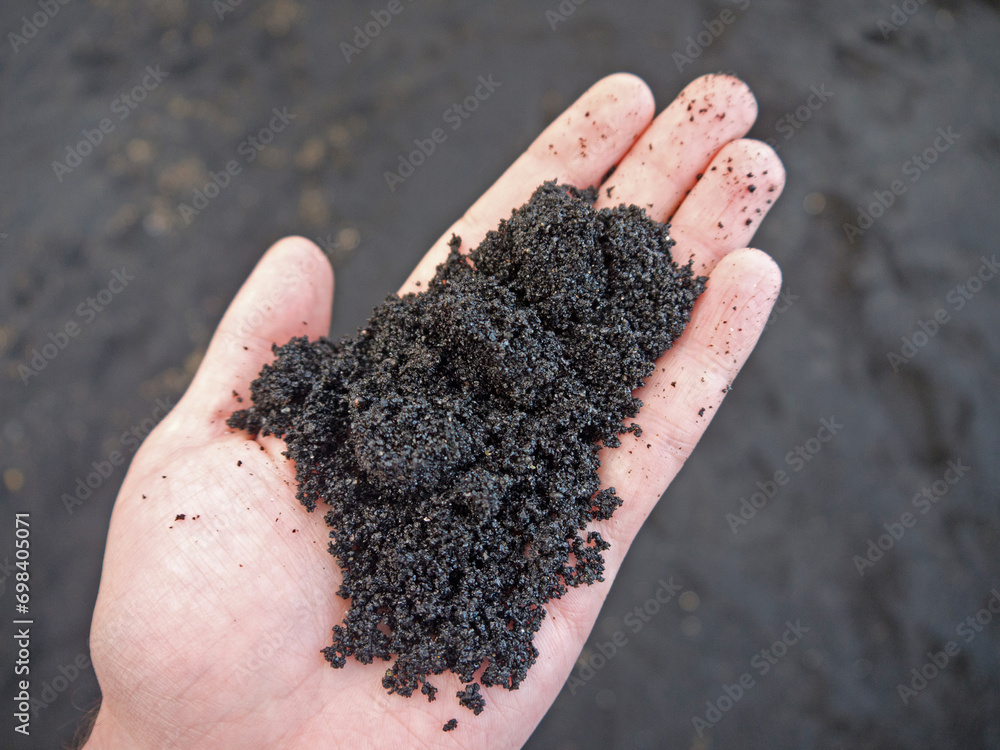 Holding Handful of Hawaiian wet Black sand on the hand Holding Handful of Hawaiian wet Black sand on the hand