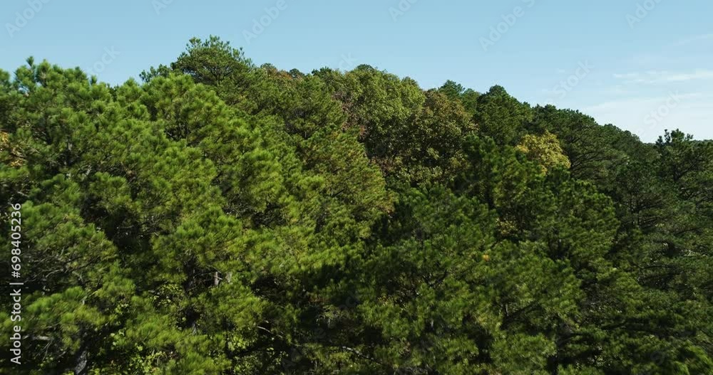 Flying Above Deciduous Tree Forest In Eagle Hollow, Arkansas, USA. Aerial Drone Shot Flying Above Deciduous Tree Forest In Eagle Hollow, Arkansas, USA. Aerial Drone Shot