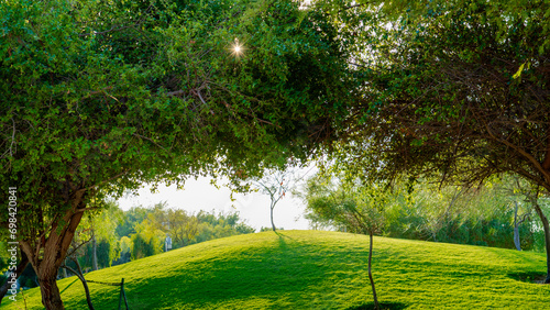 Quranic Botanic Garden at education city photo