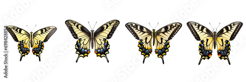 Set of Swallowtail butterfly isolated on transparent background, beautiful swallowtail butterfly standing on a flower over on a transparent background photo