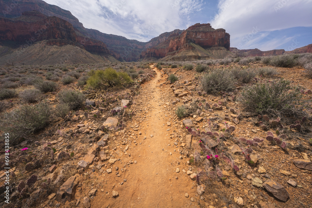 hiking the tonto trail in the grand canyon national park, arizona, usa
