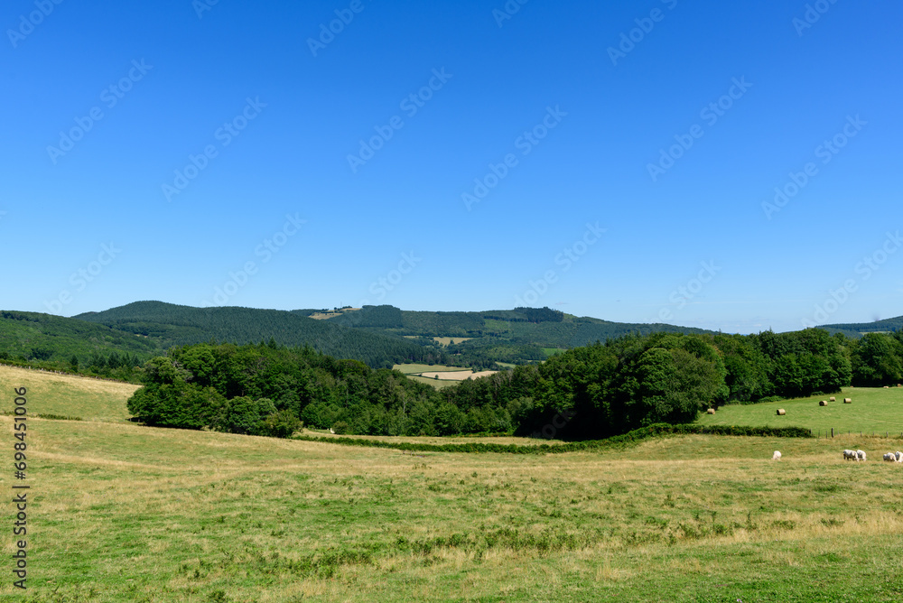 The countryside with its forests and green fields in Europe, France, Burgundy, Nievre, towards Chateau Chinon, in summer, on a sunny day. The countryside with its forests and green fields in Europe, France, Burgundy, Nievre, towards Chateau Chinon, in summer, on a sunny day.