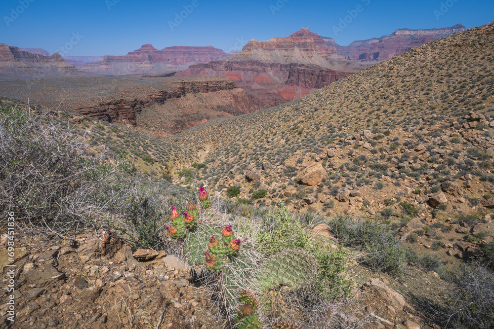 hiking the tonto trail in the grand canyon national park, arizona, usa