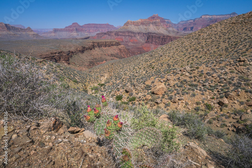 Obraz na płótnie hiking the tonto trail in the grand canyon national park, arizona, usa w salonie