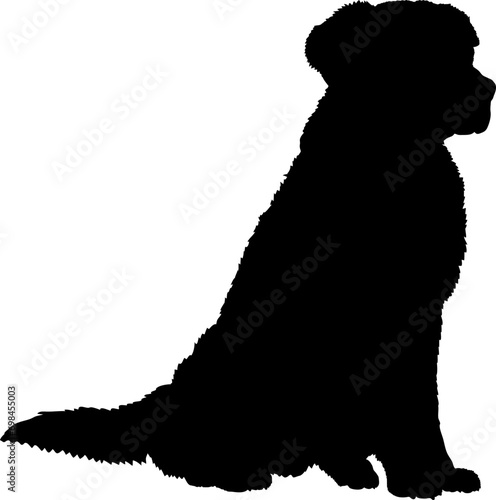 Dog Golden Retriever sitting silhouette Breeds Bundle Dogs on the move. Dogs in different poses.
The dog jumps, the dog runs. The dog is sitting. The dog is lying down. The dog is playing
