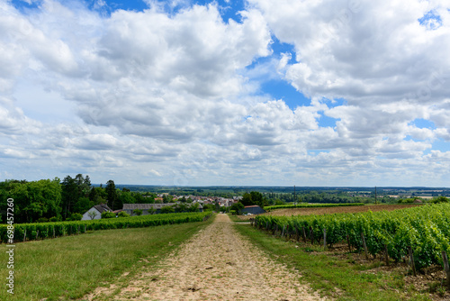 A Roman road in the middle of green vineyards in Europe, in France, in Burgundy, in Nievre, in Pouilly sur Loire, towards Nevers, in summer, on a sunny day. photo