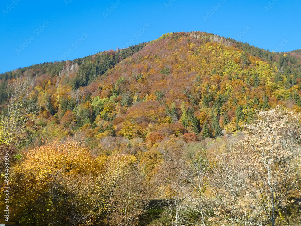 mountain view with trees with red yellow and orange leaves in autumn season