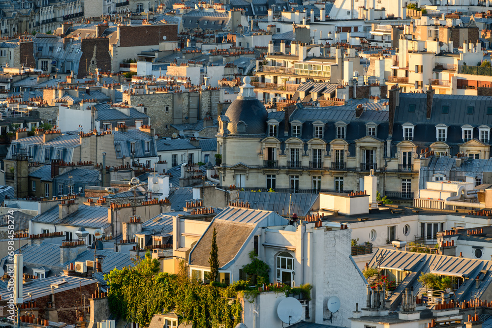 The rooftops of Paris , Europe, France, Ile de France, Paris, in summer, on a sunny day.