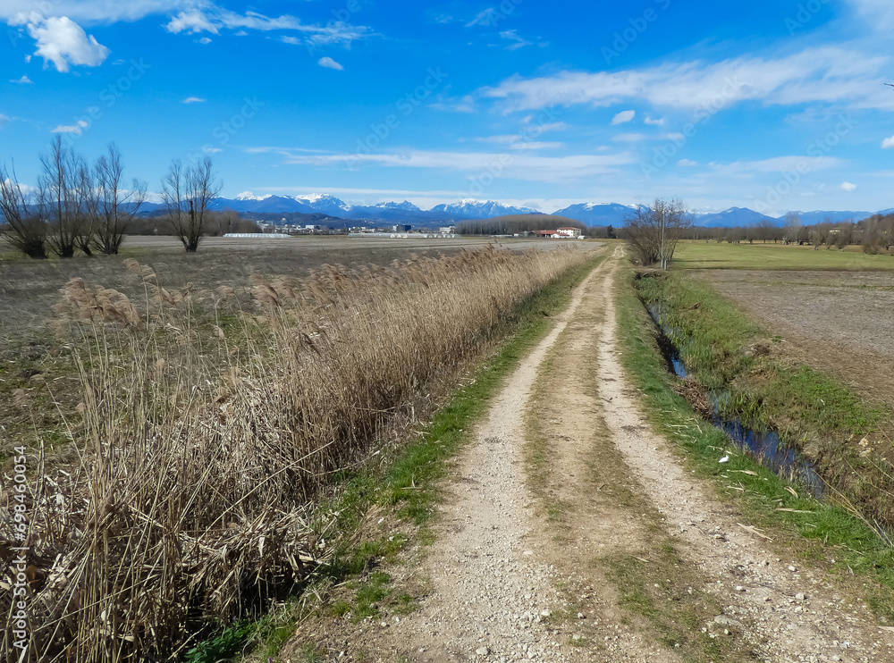 Fototapeta premium cycle path on dirt ground in the middle of the field in summer