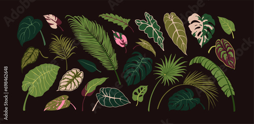 Tropical jungle leaves set. Green leaf, exotic foliage plants decor. Botanica...