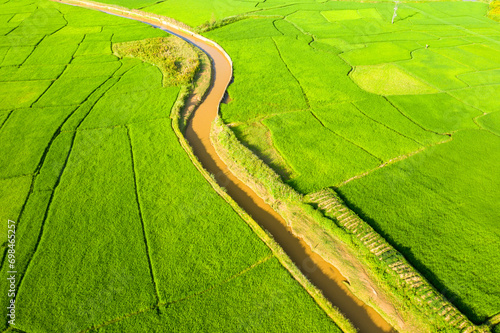 A canal in the middle of green rice fields   in Asia  in Vietnam  in Tonkin  in Dien Bien Phu  in summer  on a sunny day.
