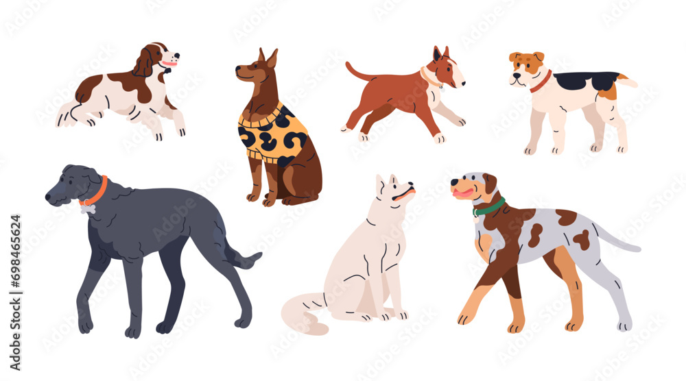 Cute dogs set. Doggies of different breed. Puppies, canine animals walking, strolling. Bull Terrier, English Springer Spaniel, Scottish Deerhound. Flat vector illustration isolated on white background