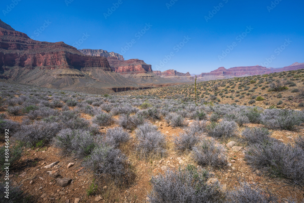 hiking the tonto trail in the grand canyon national park, arizona, usa hiking the tonto trail in the grand canyon national park, arizona, usa