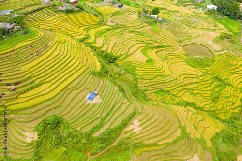 The green and yellow rice terraces on the green tropical mountains, in Asia, Vietnam, Tonkin, Sapa, towards Lao Cai, in summer, on a cloudy day. photo