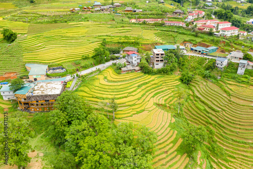 The traditional houses in the middle of green and yellow rice terraces and mountains, in Asia, Vietnam, Tonkin, Sapa, towards Lao Cai, in summer, on a sunny day.