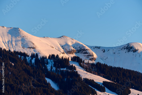 Fir forests and Mont Joly in Europe, France, Rhone Alpes, Savoie, Alps, in winter on a sunny day.