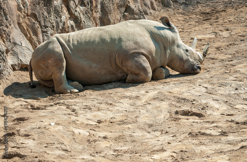 Erie Zoo