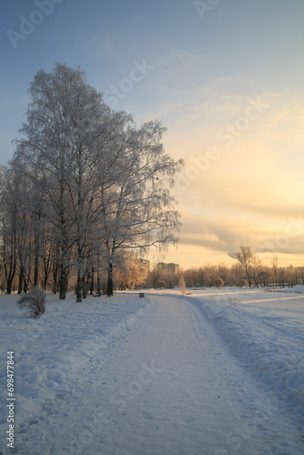Winter morning city landscape of a park with tree branches in frost illuminated by the sun. © ksi