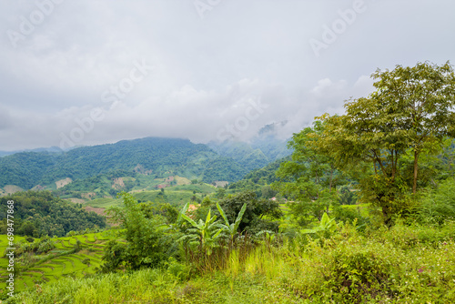 The green rice fields in the green mountains, Asia, Vietnam, Tonkin, Dien Bien Phu, in summer, on a cloudy day.