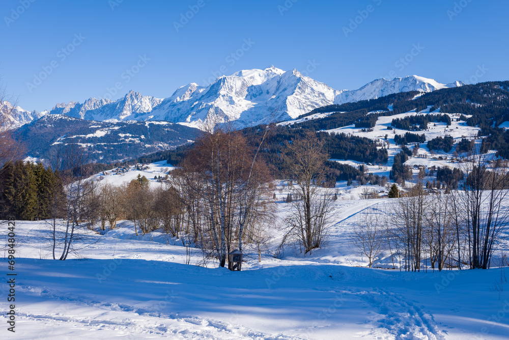 Trees in the middle of the Mont Blanc massif in Europe, France, Rhone Alpes, Savoie, Alps, in winter on a sunny day.