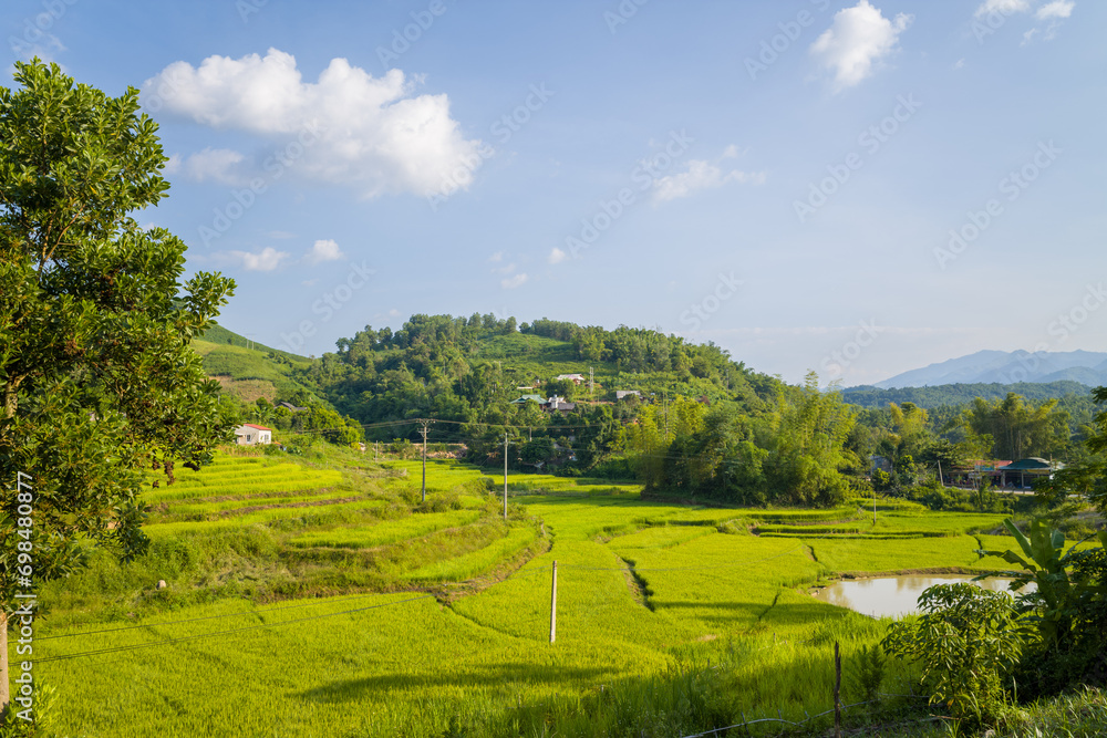 The green rice fields at the foot of the green mountains, in Asia, Vietnam, Tonkin, Dien Bien Phu, in summer, on a sunny day.