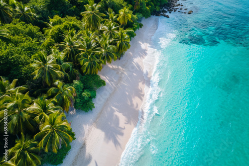 Aerial view of a tropical beach, summer, sand, palm trees