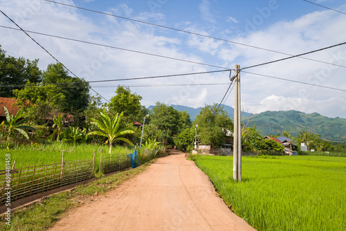 A dirt road in the middle of green rice fields, Asia, Vietnam, Tonkin, Na San, in summer, on a sunny day.