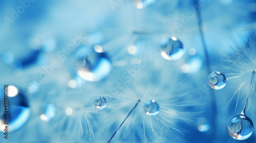 Macro Beauty: Delicate Dew Drops Glisten on Dandelion Seed - Close-Up Photography Capturing Nature's Purity and Elegance in the Morning Sunlight.