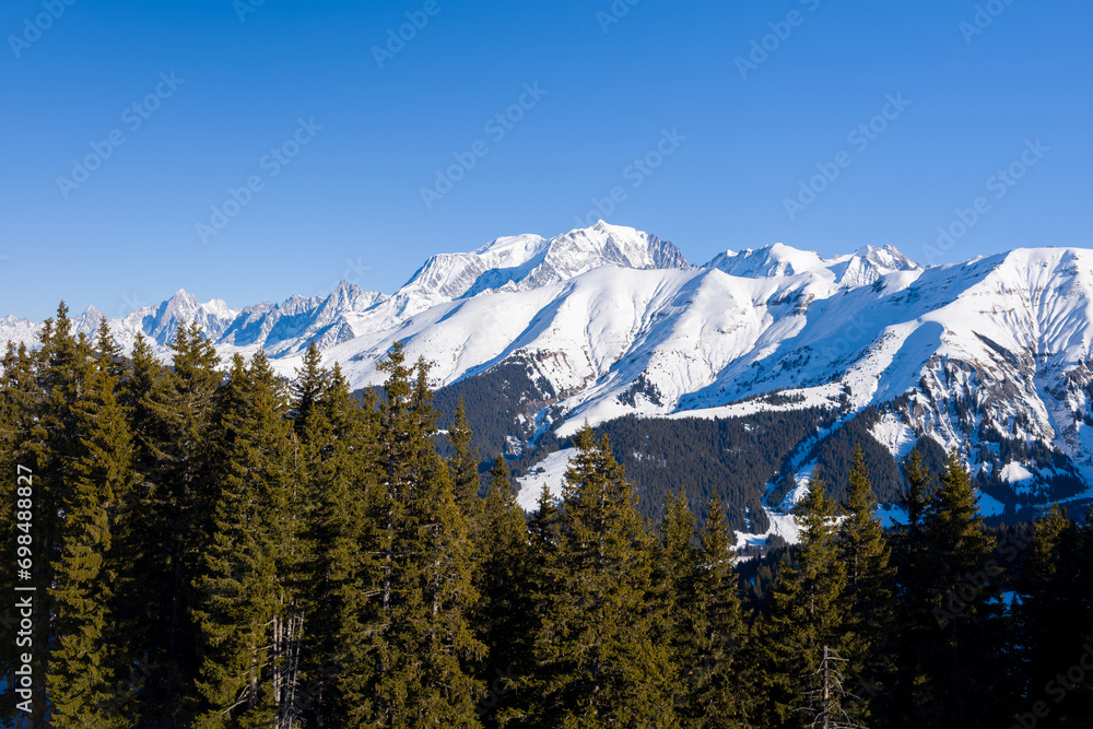 Mont Blanc massif above forests in Europe, France, Rhone Alpes, Savoie, Alps, in winter on a sunny day.