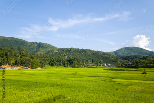 The green rice fields in the middle of forests and karst mountain peaks  in Asia  Vietnam  Tonkin  between Son La and Dien Bien Phu  in summer  on a sunny day.