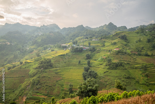 The green and yellow rice fields at the foot of the green mountains  in Asia  in Vietnam  in Tonkin  in Bac Ha  towards Lao Cai  in summer  on a cloudy day.