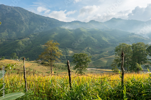 The yellow and green rice terraces above the valley in the green mountains, Asia, Vietnam, Tonkin, Sapa, towards Lao Cai, in summer, on a cloudy day. photo