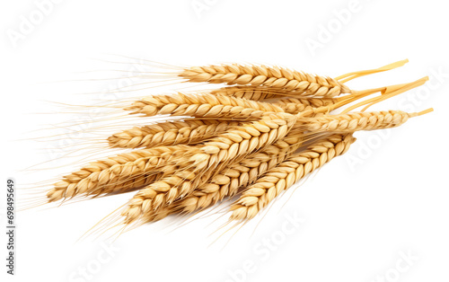 Golden Grains: Exploring the World of Wheat isolated on transparent Background
