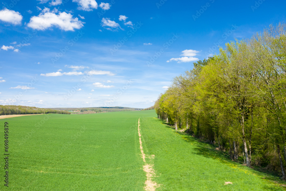 The forests and fields of the countryside in Europe, in France, in Burgundy, in Nievre, towards Nevers, in Spring, on a sunny day.