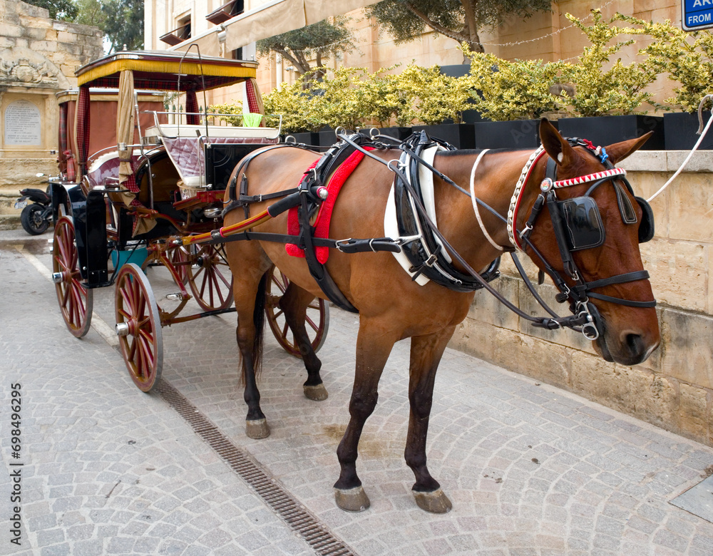 Horse-drawn carriage in Valletta, Malta